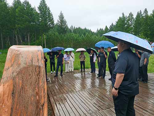 朝阳市某区检察干警塞罕坝取经：防火指挥中心暗藏玄机?
