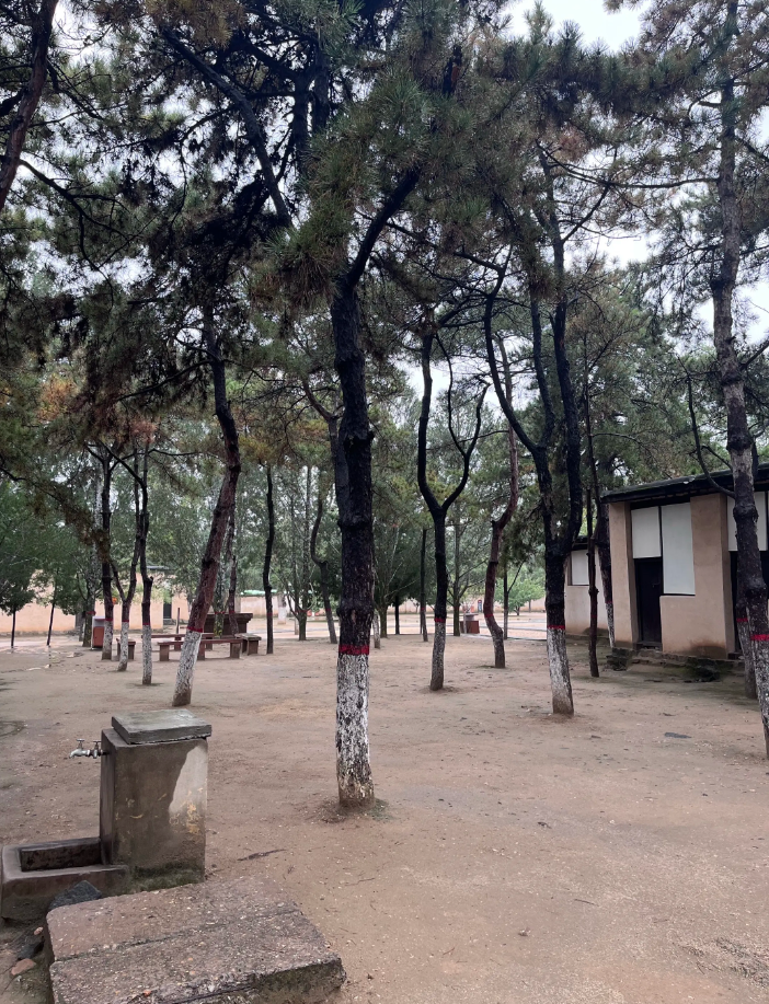 588d09ad-9e2f-4de5-b2a6-d3348a86e4fa.png 588d09ad-9e2f-4de5-b2a6-d3348a86e4fa.png