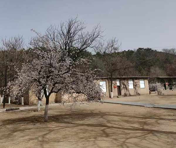 西柏坡的红色教育培训